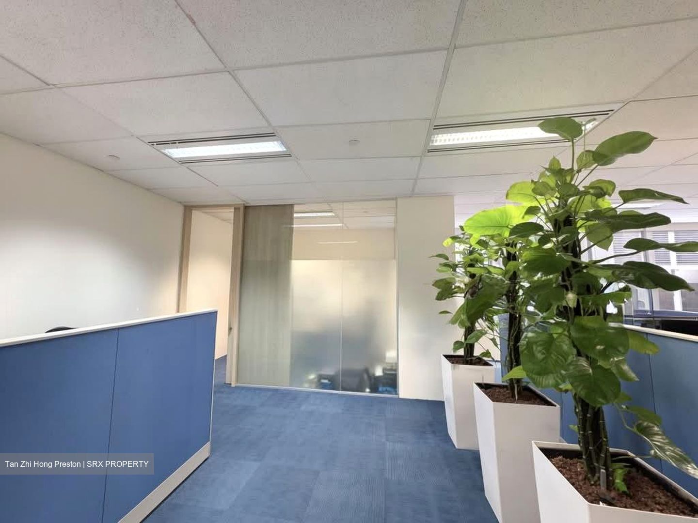 MYP Plaza (D1), Office #591308531
